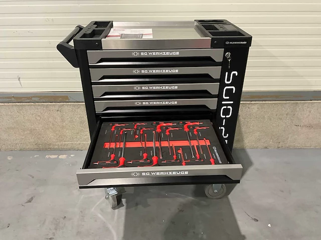 Sg werkzeuge - sg10-25l - 2025 - 258 stuks - gereedschapswagen - afbeelding 5 van  23