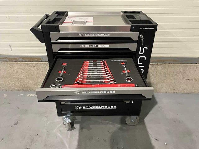 Sg werkzeuge - sg10-25l - 2025 - 258 stuks - gereedschapswagen - afbeelding 23 van  23