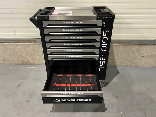 Sg werkzeuge - sg10-25l - 2025 - 258 stuks - gereedschapswagen - afbeelding 9 van  23