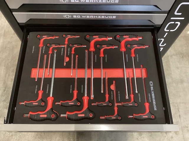 Sg werkzeuge sg10-25l - 7 laden 7 gevuld - afbeelding 5 van  8