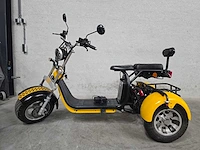 Shansu green rider - 3 wieler - elektrische shopper - elektrische fiets - afbeelding 1 van  10