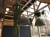 Showroom opstelling - afbeelding 3 van  13