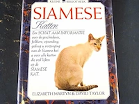 Siamese katten - afbeelding 1 van  5