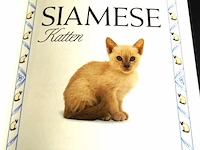 Siamese katten - afbeelding 2 van  5