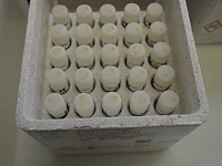 Siemens - afbeelding 10 van  12