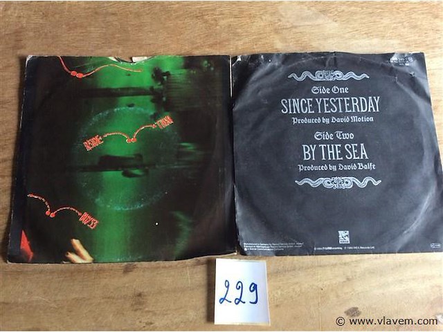 Singles divers 2stuks - afbeelding 2 van  2