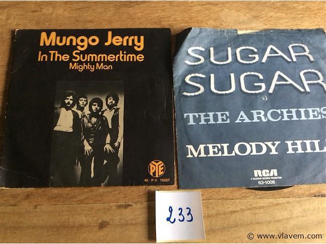 Singles divers 2stuks - afbeelding 1 van  2