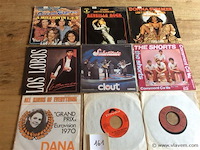 Singles divers 9stuks - afbeelding 1 van  2