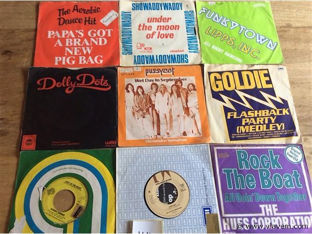 Singles divers 9stuks - afbeelding 1 van  2