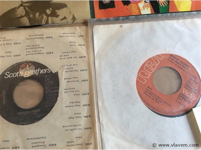 Singles divers 9stuks - afbeelding 2 van  2