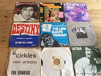 Singles divers 9stuks - afbeelding 1 van  2