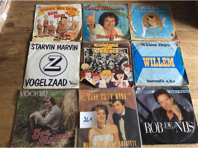 Singles vlaams 9stuks - afbeelding 1 van  1