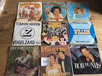 Singles vlaams 9stuks - afbeelding 1 van  1