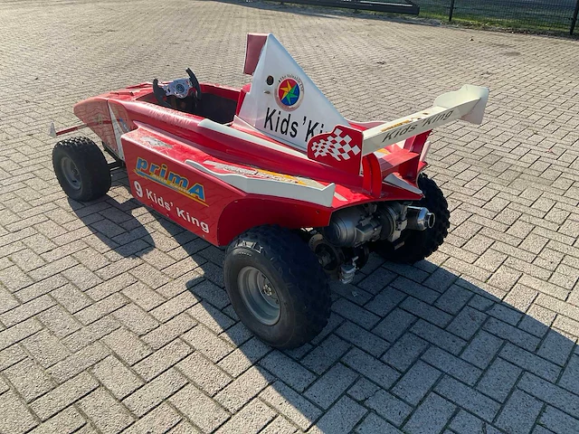 Skelter raceauto quad - afbeelding 6 van  15