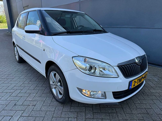 Skoda - 2014 - fabia - 1.2 tsi drive - 2-tnp-60 - afbeelding 12 van  18