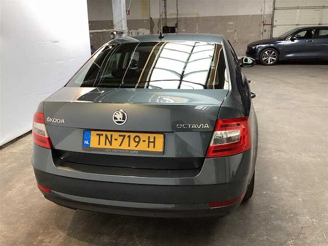 Škoda octavia 1.6 tdi greentech ambition business | tn-719-h - afbeelding 8 van  17