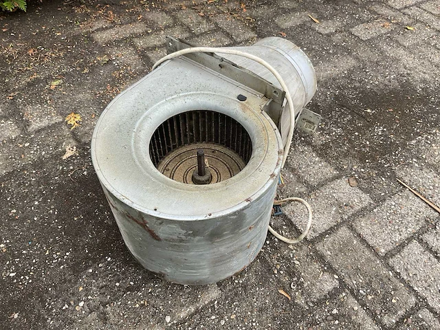 Slakkenhuis motor - afbeelding 3 van  3