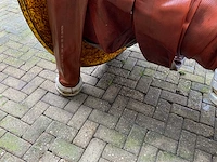 Slanghaspel met 6” slang - afbeelding 4 van  12
