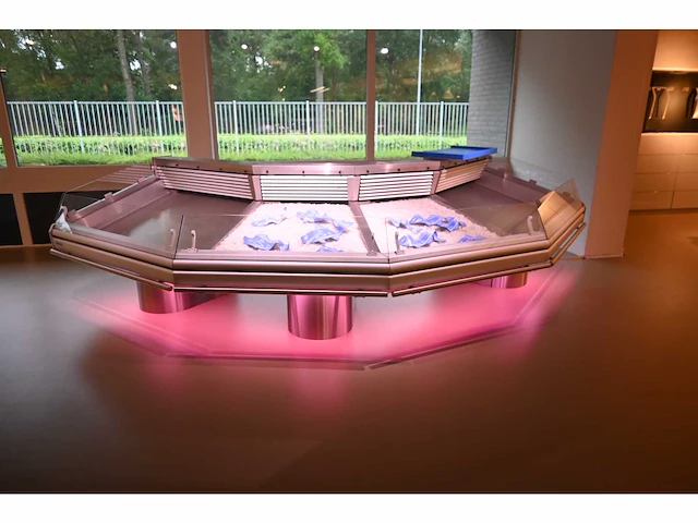 Smeva - rvs vis koelvitrine showroom model - afbeelding 2 van  10