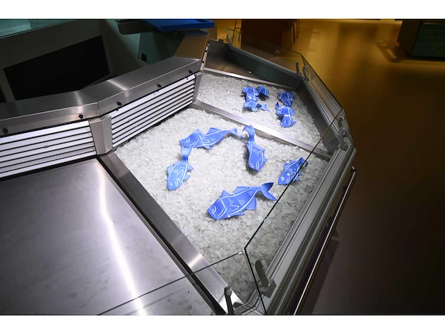 Smeva - rvs vis koelvitrine showroom model - afbeelding 3 van  10