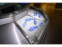 Smeva - rvs vis koelvitrine showroom model - afbeelding 3 van  10