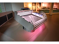 Smeva - rvs vis koelvitrine showroom model - afbeelding 4 van  10