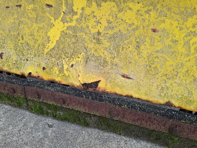 Sneeuwschuif, nido - afbeelding 2 van  11