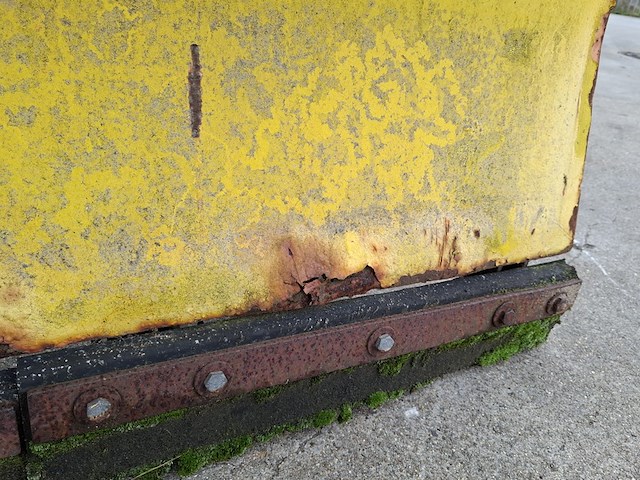 Sneeuwschuif, nido - afbeelding 3 van  11