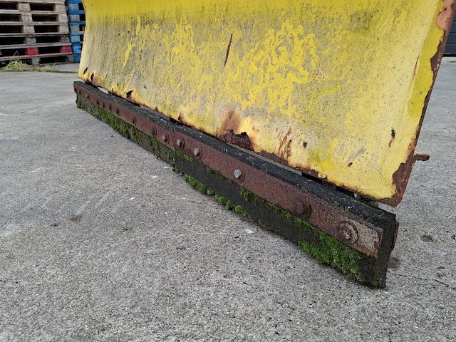 Sneeuwschuif, nido - afbeelding 10 van  11