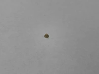 Solid rivet (2x) - afbeelding 3 van  5