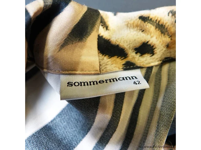 Sommerman - afbeelding 5 van  5