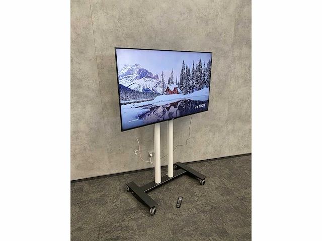 Sony bravia - 65" monitor op verrijdbaar statief - afbeelding 2 van  17