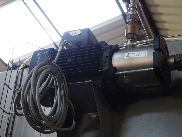 Sorgo - afbeelding 8 van  8