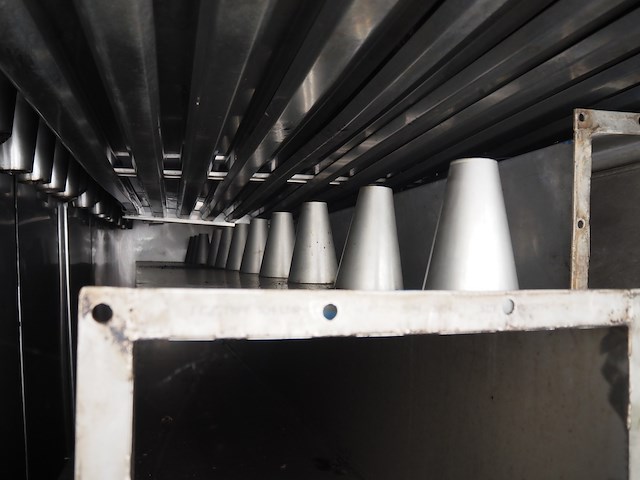 Sorgo - afbeelding 6 van  8