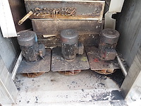 Sorgo - afbeelding 2 van  11