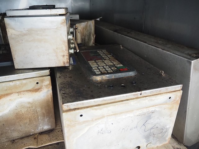 Sorgo - afbeelding 10 van  11