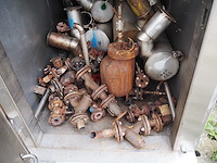 Sorgo - afbeelding 3 van  7