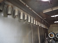 Sorgo - afbeelding 6 van  7