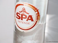 Spa rood - 12 flessen