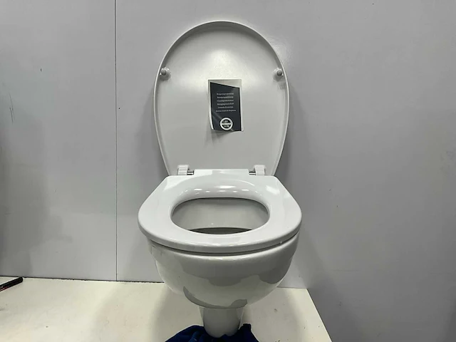Sphinx - toilet - afbeelding 1 van  4