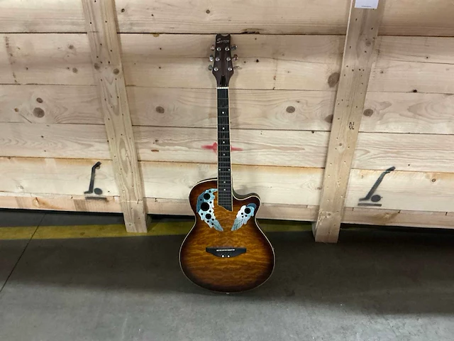 Spider gitaar - afbeelding 1 van  11