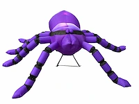 Spin (tarantula) - afbeelding 1 van  6