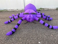 Spin (tarantula) - afbeelding 3 van  6