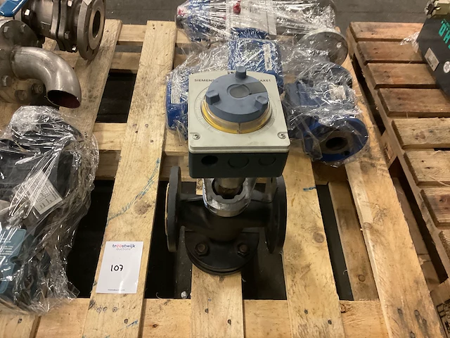 Spirax sarco sp 500 / bva330 diverse terugslagkleppen - afbeelding 4 van  8