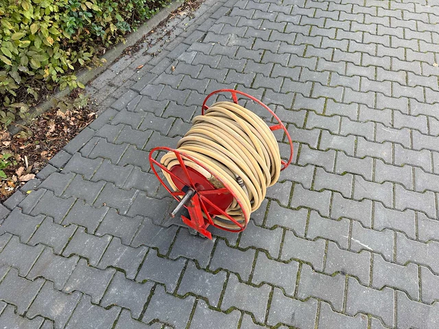 Spuithaspel - afbeelding 1 van  6