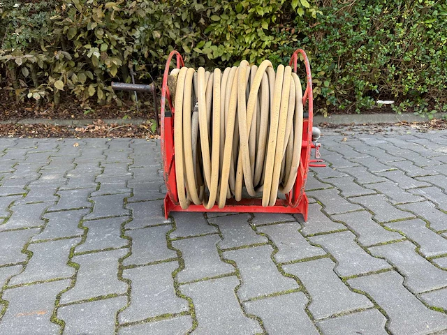 Spuithaspel - afbeelding 2 van  6