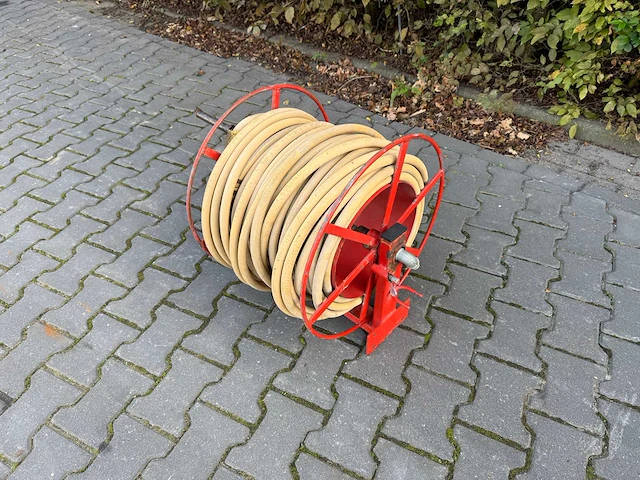 Spuithaspel - afbeelding 3 van  6
