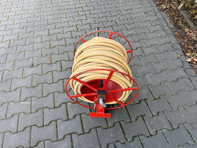 Spuithaspel - afbeelding 4 van  6
