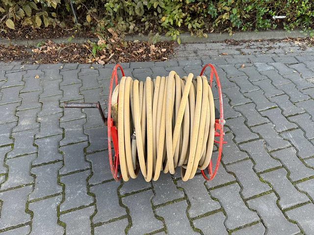 Spuithaspel - afbeelding 5 van  6