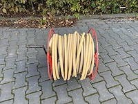 Spuithaspel - afbeelding 5 van  6